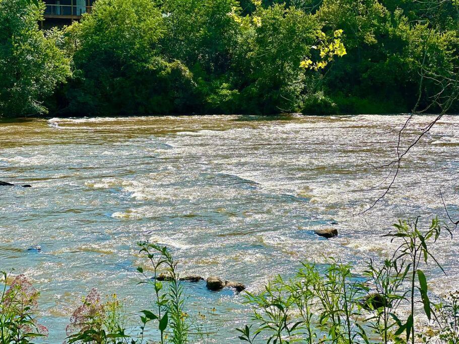 Riverside Relaxer W/Hot Tub+Fire Pit +Wifi & View Franklin Bagian luar foto